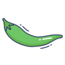 vegetable,food and restaurant,green,chili,chili pepper,green chili pepper